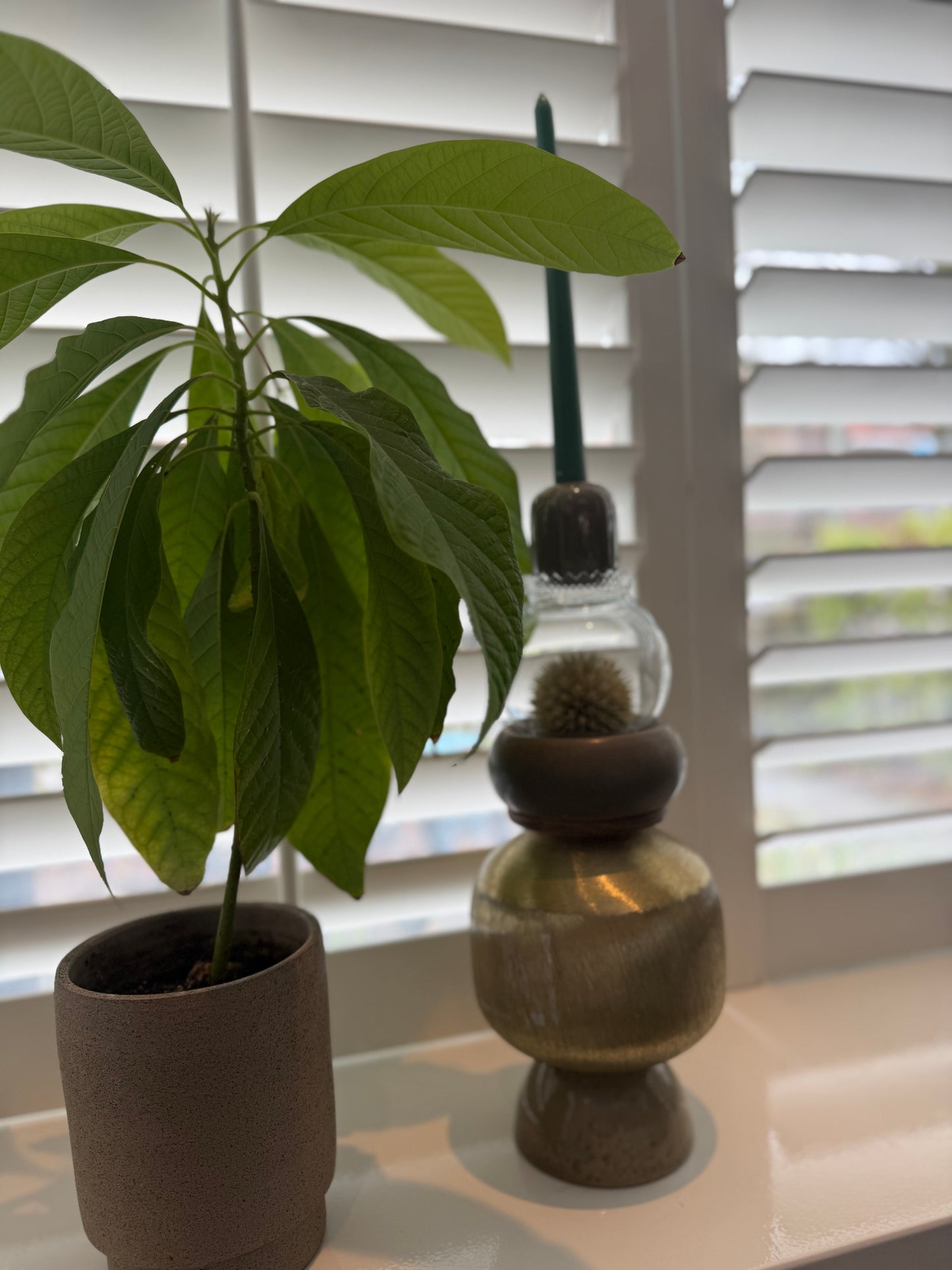 Kandelaar ♡ Laurien met Leeuwenstaart